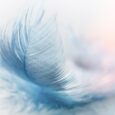 Let me be as a feather Strong with purpose yet light at heart, Able to bend, And, tho I might Become frayed, Able to pull myself Together again. Anita Sams […]
