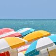 BYOB and a few snacks and let’s get together and paint by numbers!  No art skills–just relaxing fun and beach vibes. We’ll paint “Under Umbrellas”. The cost is $20 per person for […]