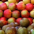 Join us to taste apple varieties donated by Soergel Orchards and learn about this popular fall fruit. This program is for adults. Please register. REGISTER HERE